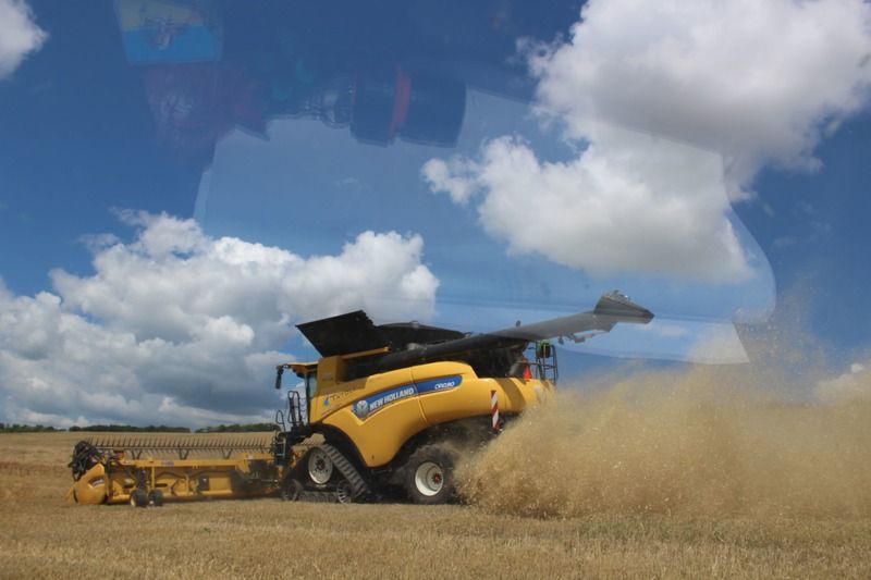 Новини Вінниці - фото з На два тижні раніше почалися жнива. Аграрії Вінниччини лідирують за показником урожайності