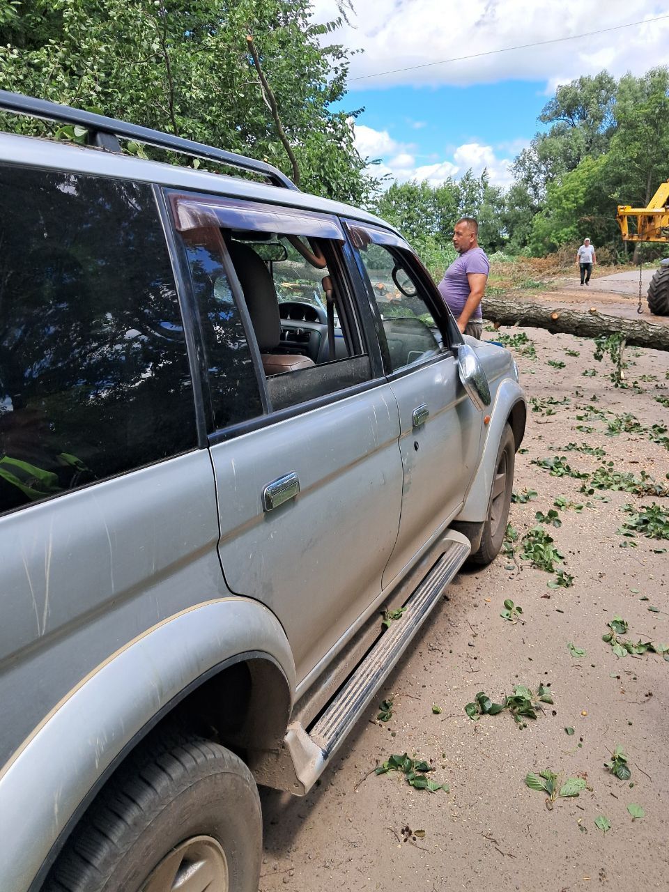Новини Вінниці - фото з «Ну ми там їм кричали...» По дорозі на Гавришівку зрізане робітниками дерево ледь не вбило родину