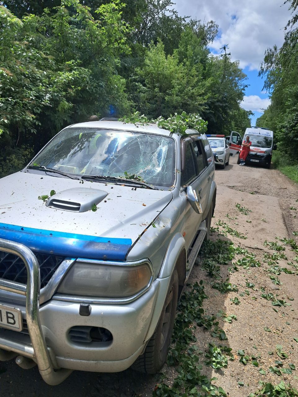 Новини Вінниці - фото з «Ну ми там їм кричали...» По дорозі на Гавришівку зрізане робітниками дерево ледь не вбило родину