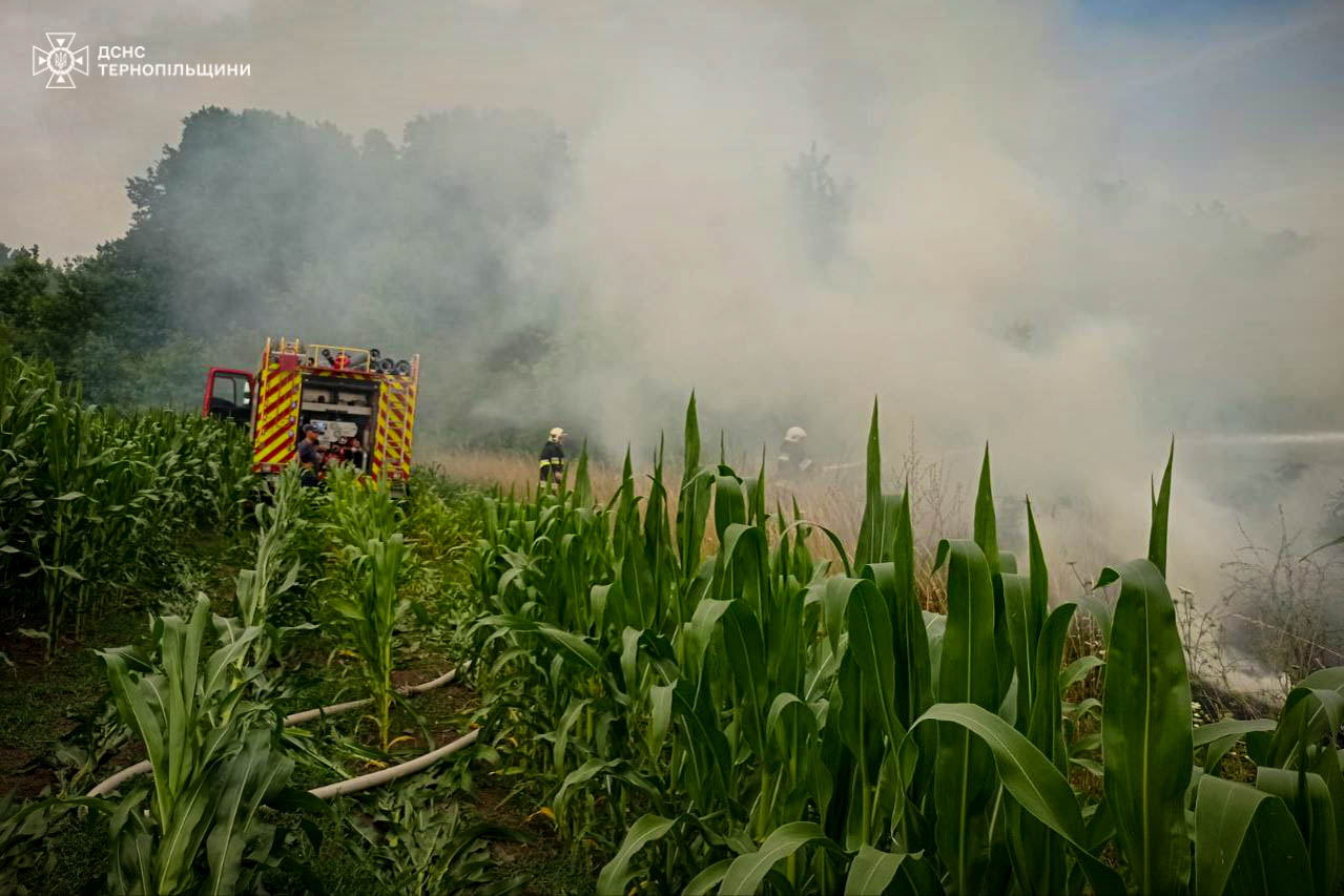 Новини Тернополя - фото з У Підволочиській громаді горів будинок На зображенні може бути: вогонь та текст
