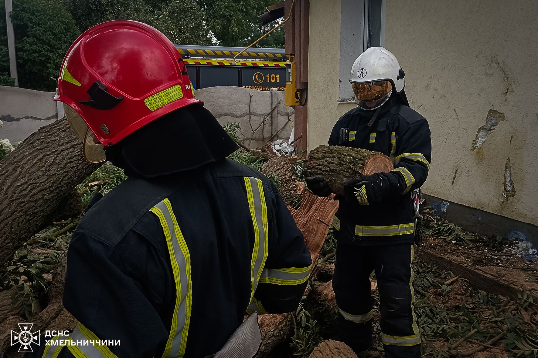 Новини Хмельницького - фото з Повалені дерева і тисячі людей без світла: наслідки негоди на Хмельниччині