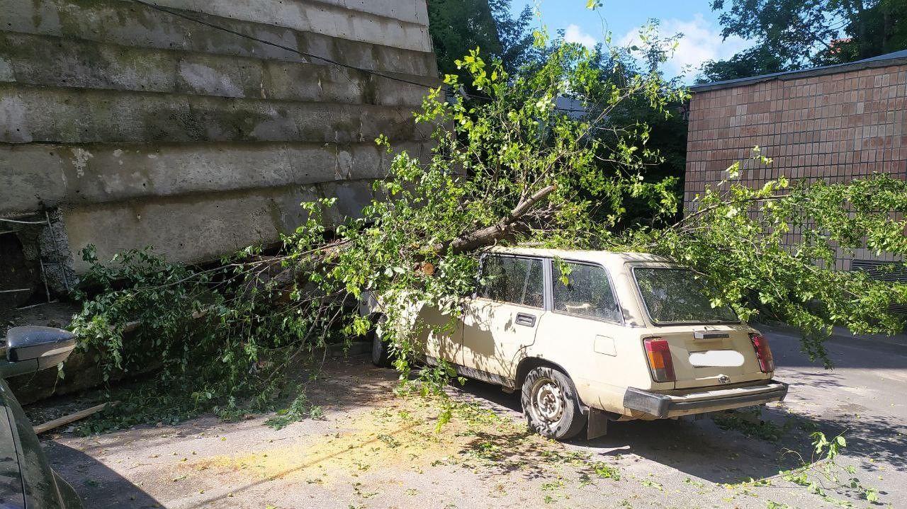Новини Тернополя - фото з Підпірна стіна обвалилась у Тернополі: пошкоджені дерева і автомобілі