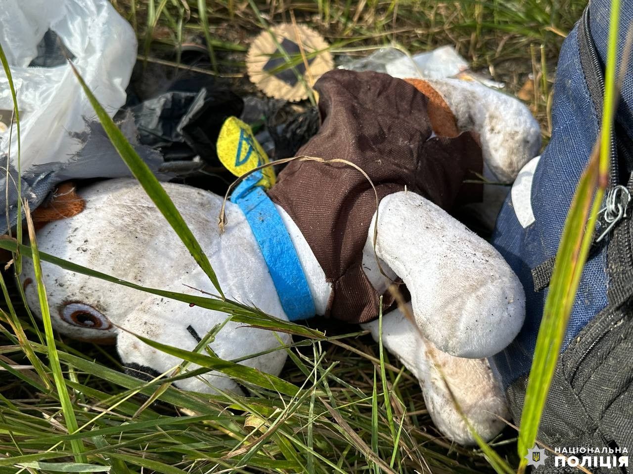 Новини Хмельницького - фото з «Перед трагедією виповнилось 6». Що відомо про сім’ю, яка загинула в ДТП на Рівненщині