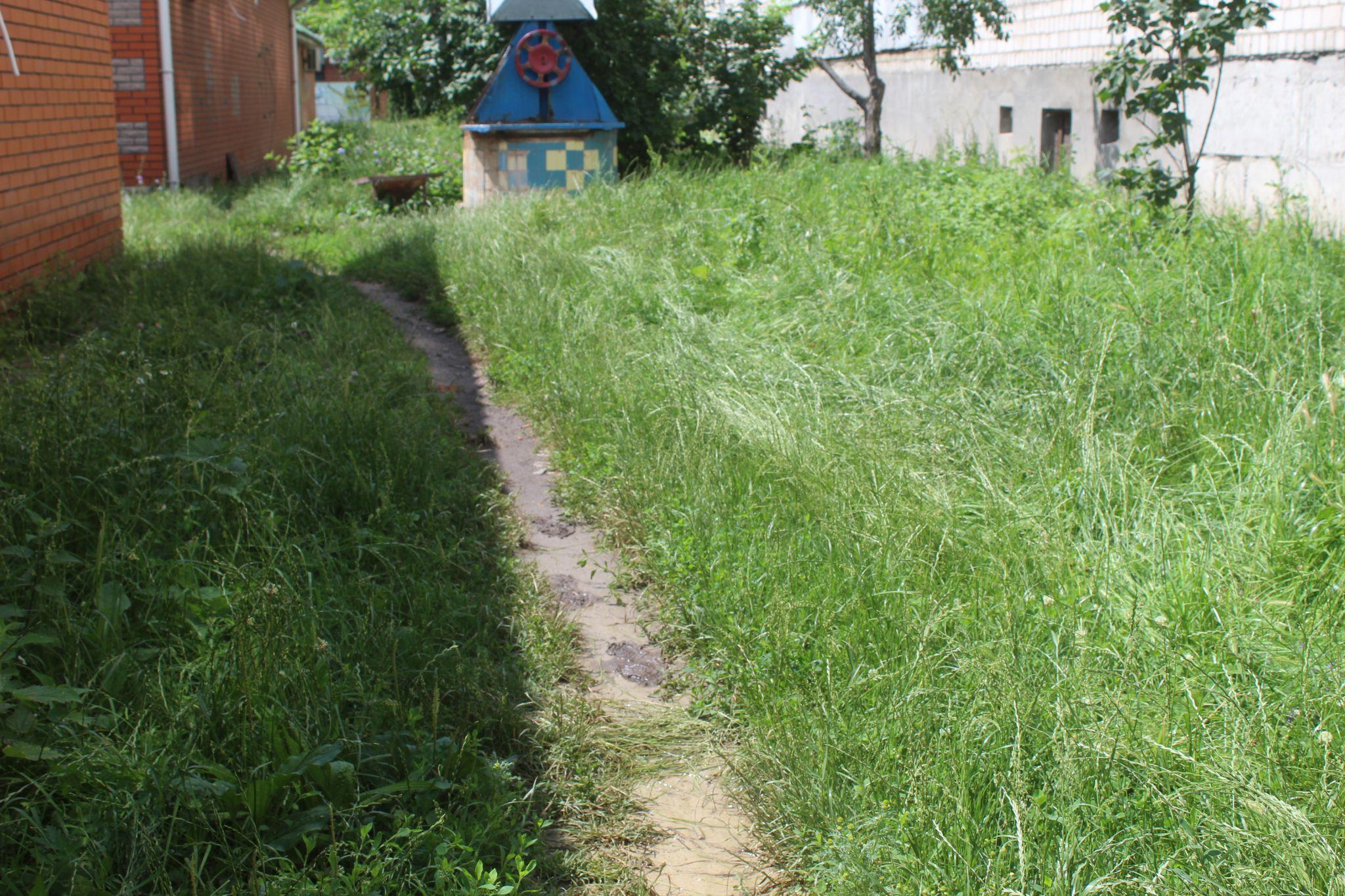 Новини Козятина - фото з Воду здали на аналіз. Чи кидали у криницю пральний порошок — ніхто не бачив