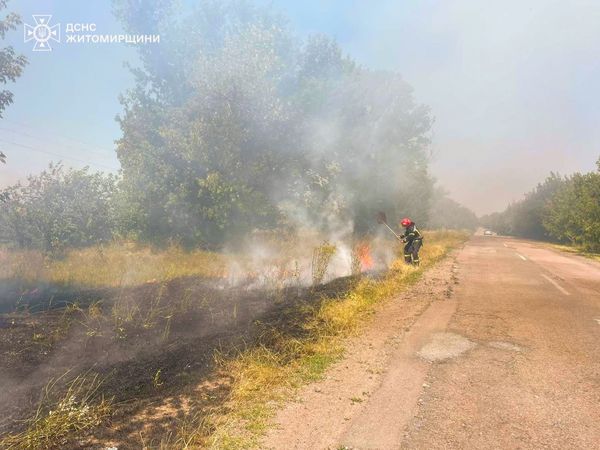 Новини Житомира - фото з Упродовж вихідних по області ліквідовано 16 пожеж сухої трави на площі понад 5 га
