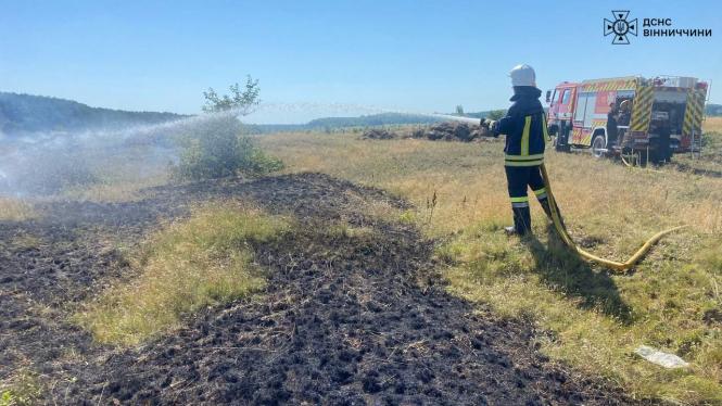 Новини Вінниці - фото з Спека не зупиняє паліїв: 20 пожеж за добу сталися на Вінниччині в екосистемах