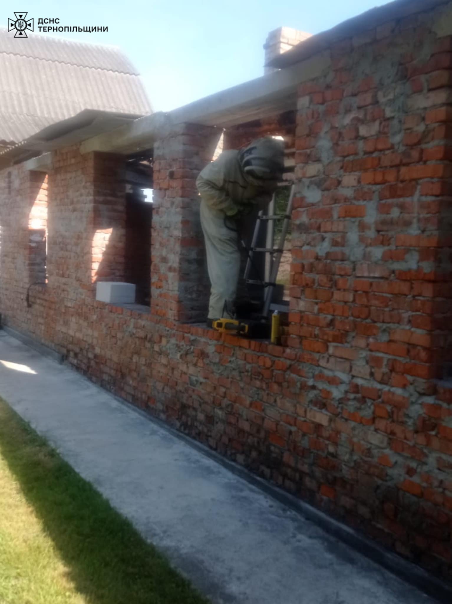 Новини Тернополя - фото з Шершні, оси та бджоли поселились на людських будинках на Тернопільщині На зображенні може бути: 1 особа