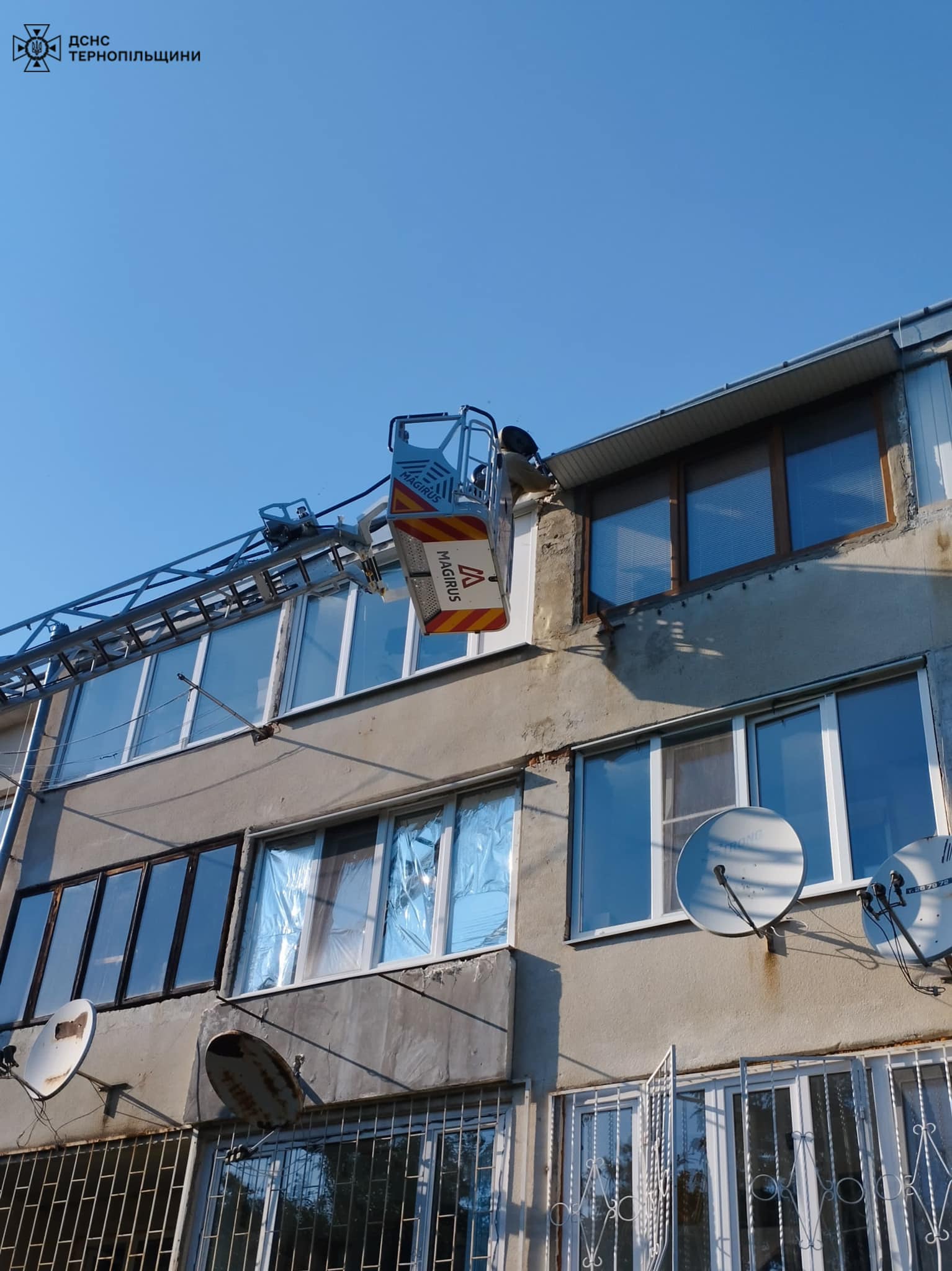 Новини Тернополя - фото з Шершні, оси та бджоли поселились на людських будинках на Тернопільщині На зображенні може бути: текст