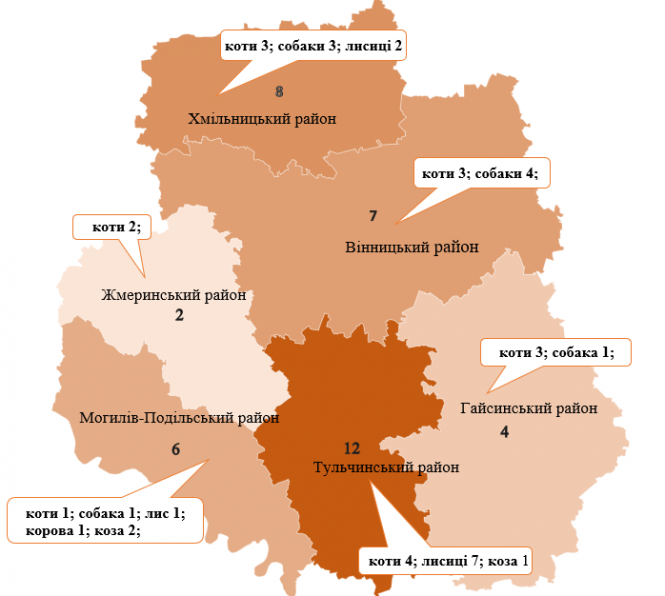 Новини Козятина - фото з У регіоні за пів року зареєстрували 39 випадків сказу. З них шість — у нашому районі