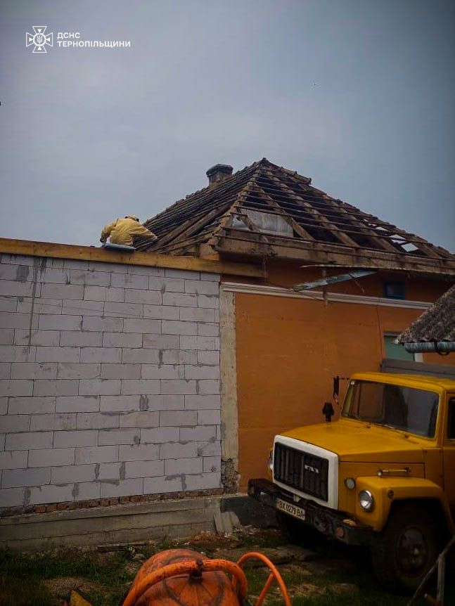 Новини Тернополя - фото з На Тернопільщині рятувальники вилучили 9 гнізд шершнів та ос