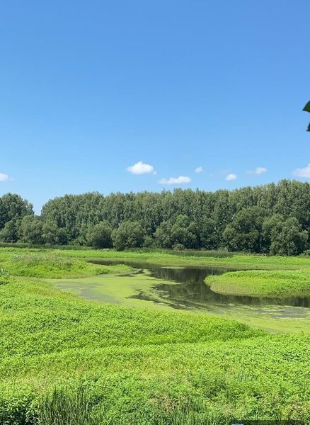 Новини Житомира - фото з На території Баранівської громади екологи виявили несправну гідроспоруду, через яку погіршується екологічна ситуація на річці Смолка