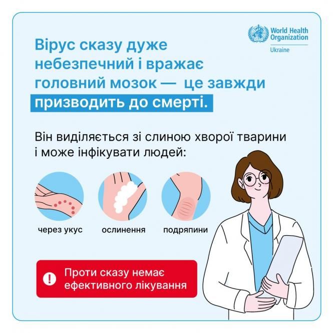 Новини Козятина - фото з У регіоні за пів року зареєстрували 39 випадків сказу. З них шість — у нашому районі