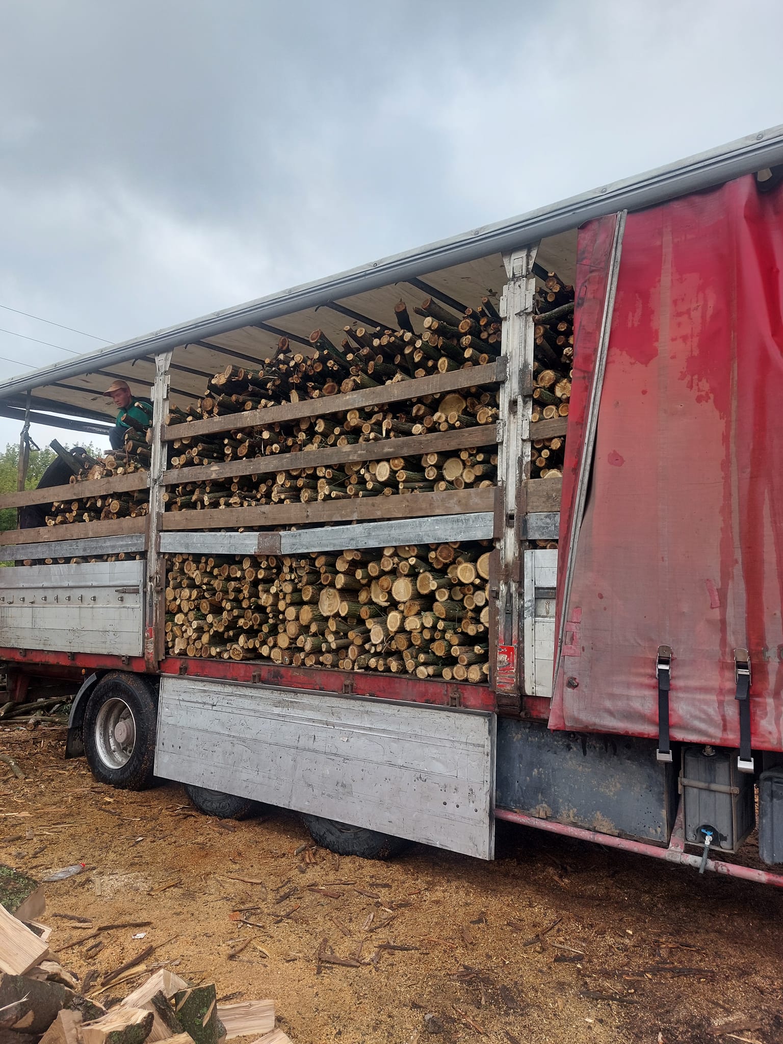 Новини Тернополя - фото з Де на Тернопільщині вигідно купити дрова: розповідаємо про лісництва та ціни