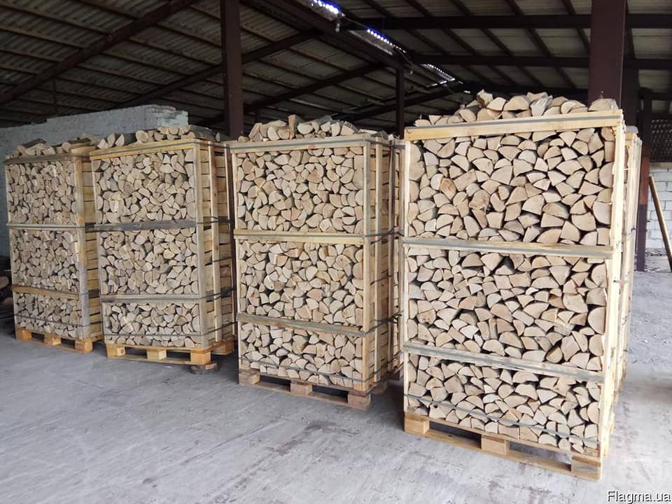 Новини Тернополя - фото з Де на Тернопільщині вигідно купити дрова: розповідаємо про лісництва та ціни