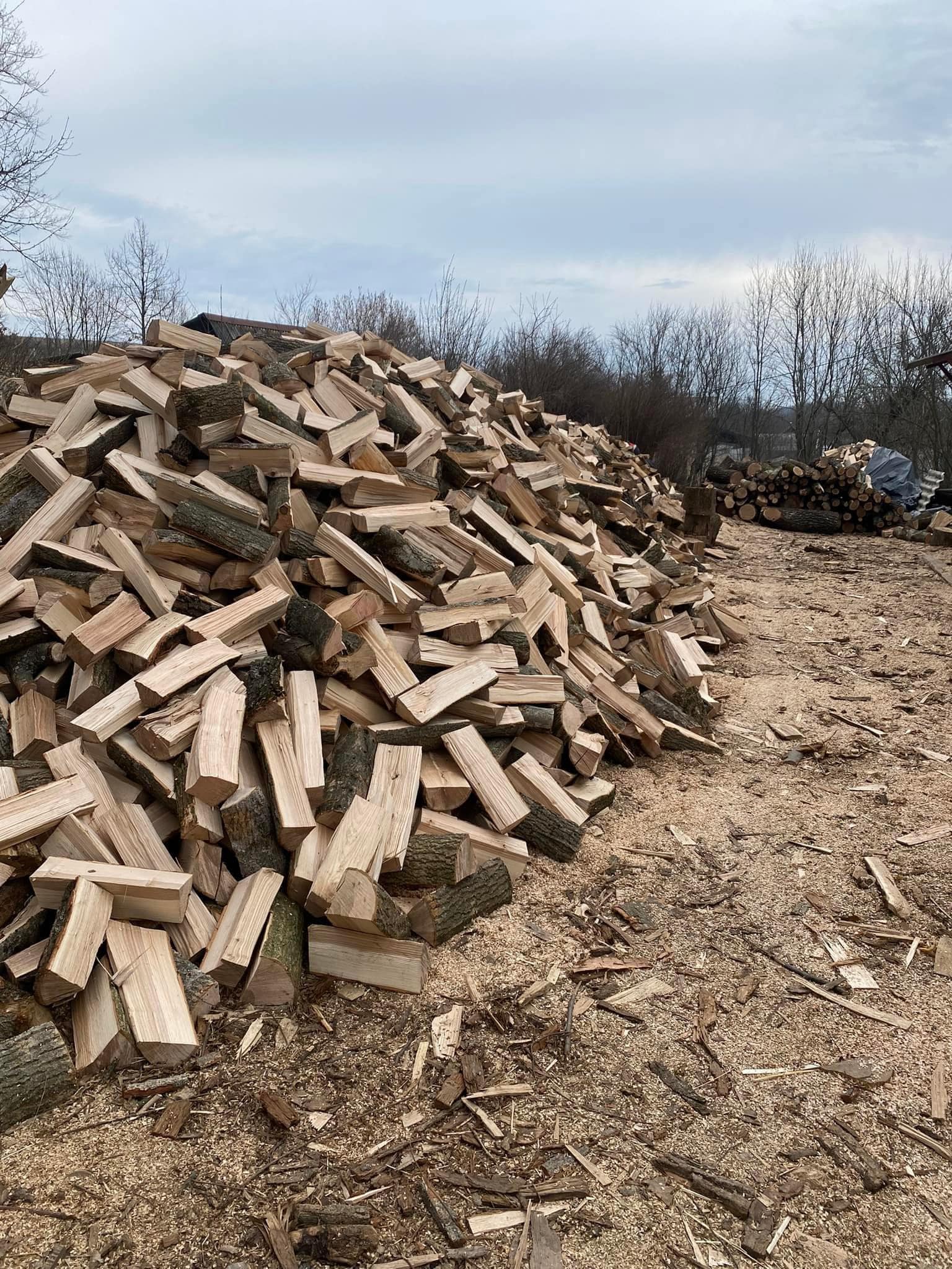 Новини Тернополя - фото з Де на Тернопільщині вигідно купити дрова: розповідаємо про лісництва та ціни