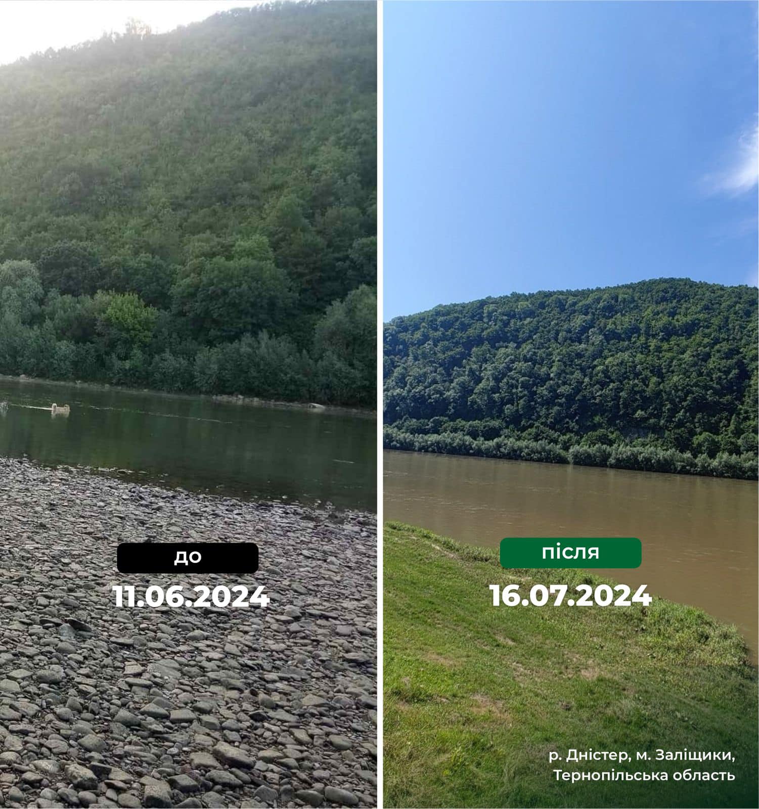 Новини Тернополя - фото з У Дністрі побільшало води. Фото «до» та «після» На зображенні може бути: текст