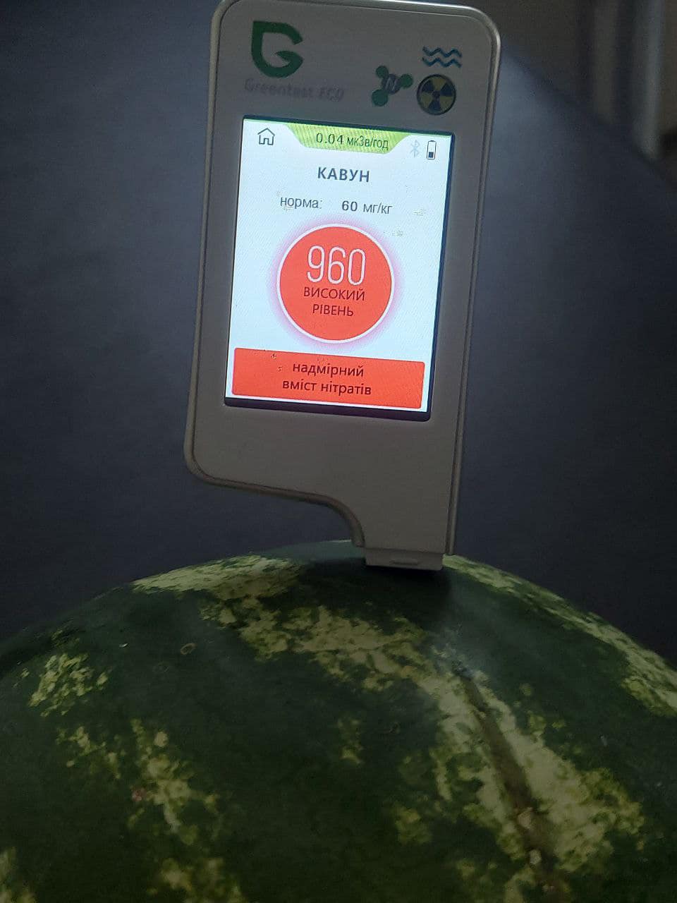 Новини Козятина - фото з Фахівці радять з кавунами почекати до середини серпня