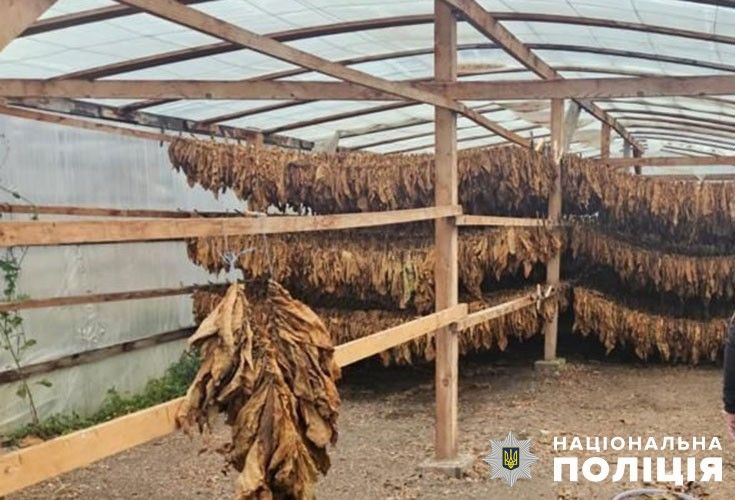 Новини Тернополя - фото з На Тернопільщині виявили підпільне виробництво тютюну