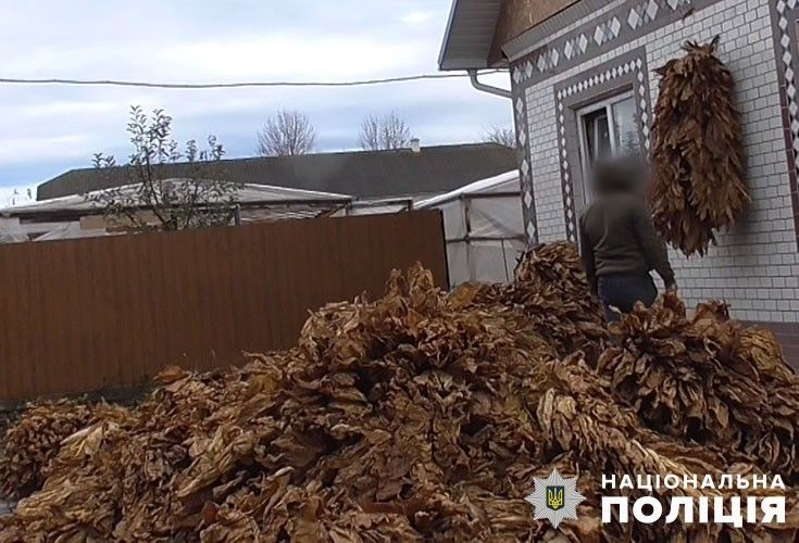 Новини Тернополя - фото з На Тернопільщині виявили підпільне виробництво тютюну