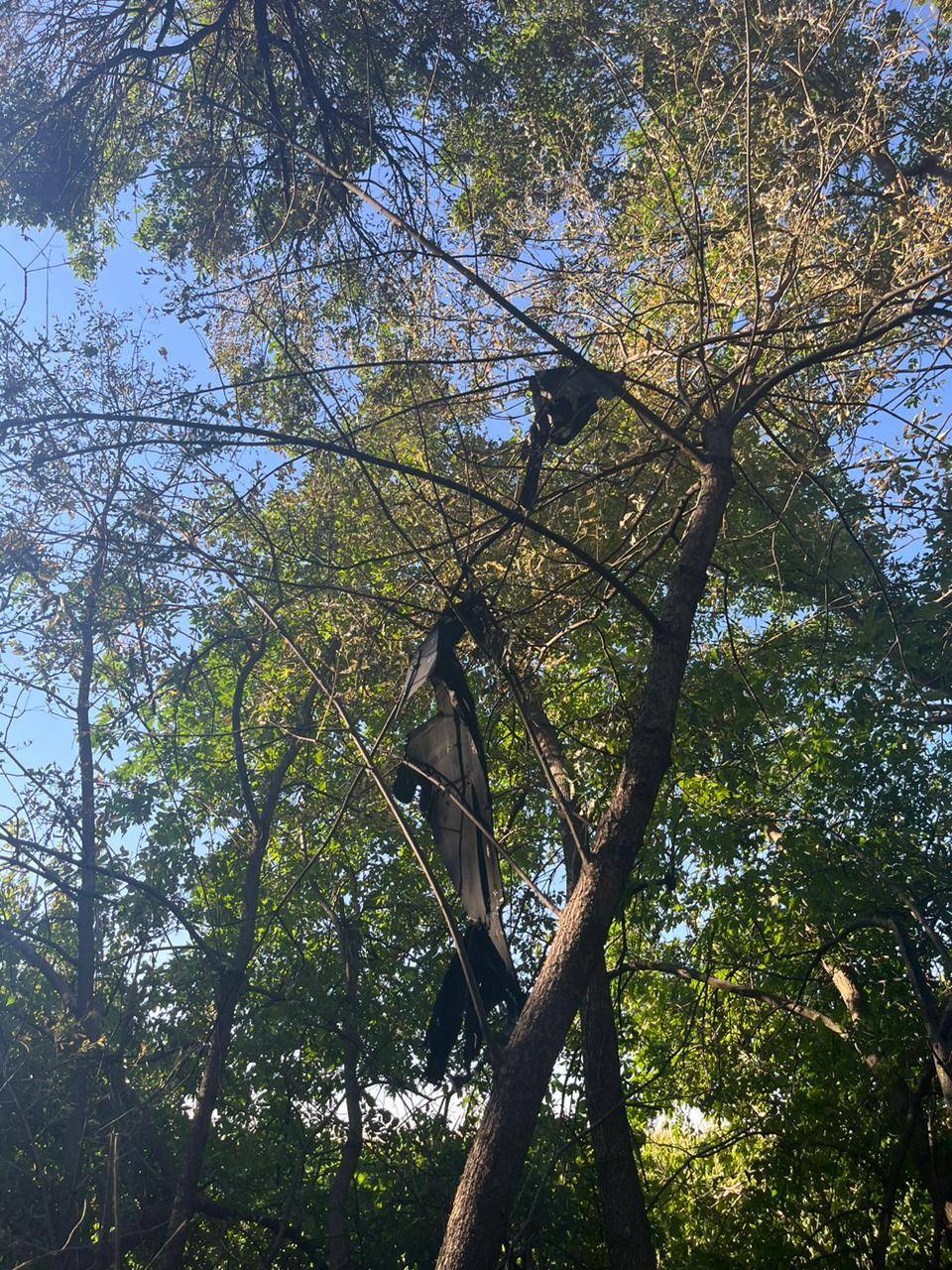 Новини Тернополя - фото з Три ворожих «Шахеди» на підльоті до будинків знищили військові тернопільської 105-ї бригади На зображенні може бути: дерево