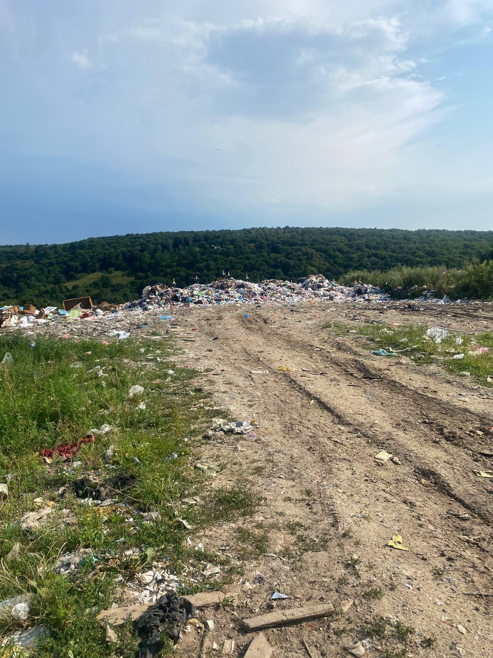 Немає опису світлини.