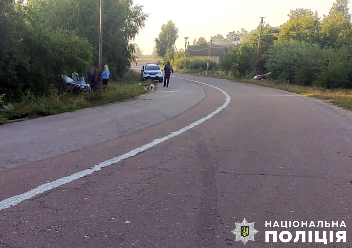 поліція розслідує смертельну дтп на олевщині: водій був нетверезим