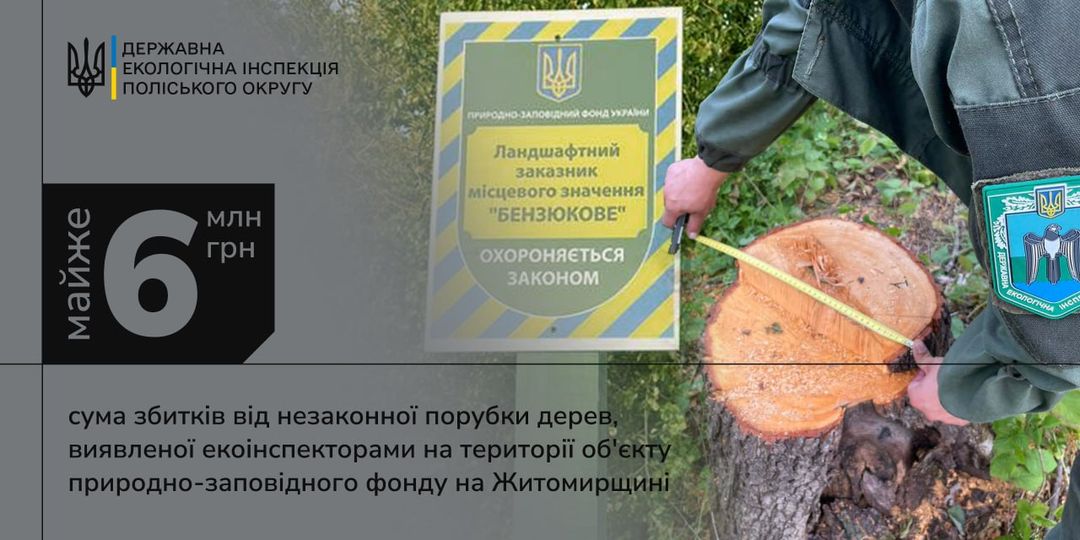 Новини Житомира - фото з На території заказника в Коростенському районі виявили незаконну порубку дерев на суму майже 6 мільйонів гривень На зображенні може бути: 1 особа, дерево та текст