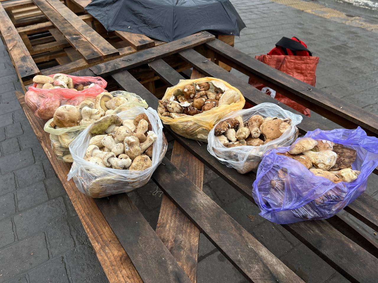 Новини Тернополя - фото з На стихійці в Тернополі продають лісові гриби. Розповідаємо, які є і скільки коштують