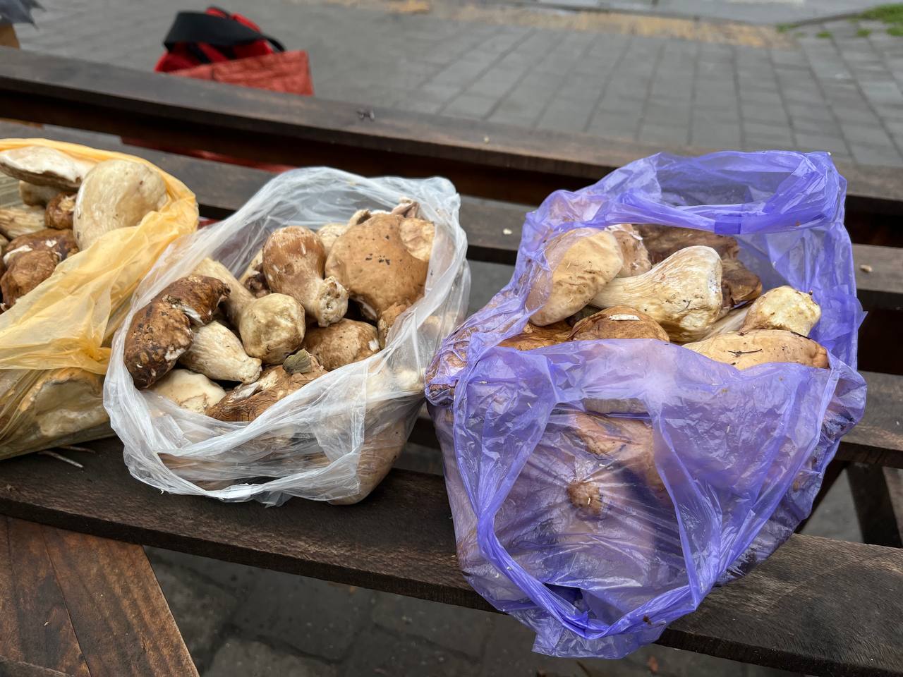 Новини Тернополя - фото з На стихійці в Тернополі продають лісові гриби. Розповідаємо, які є і скільки коштують
