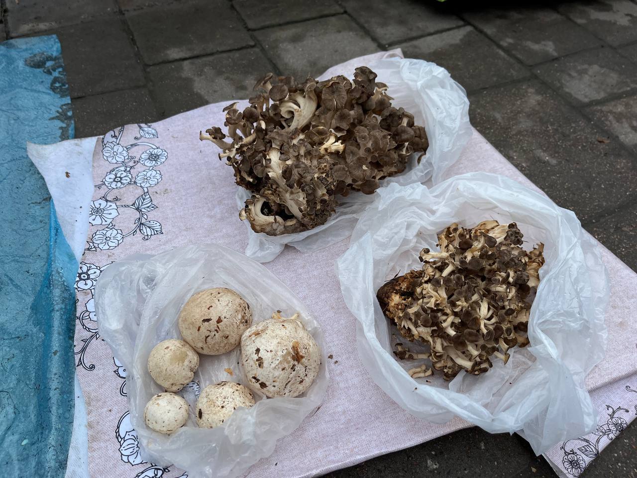 Новини Тернополя - фото з На стихійці в Тернополі продають лісові гриби. Розповідаємо, які є і скільки коштують