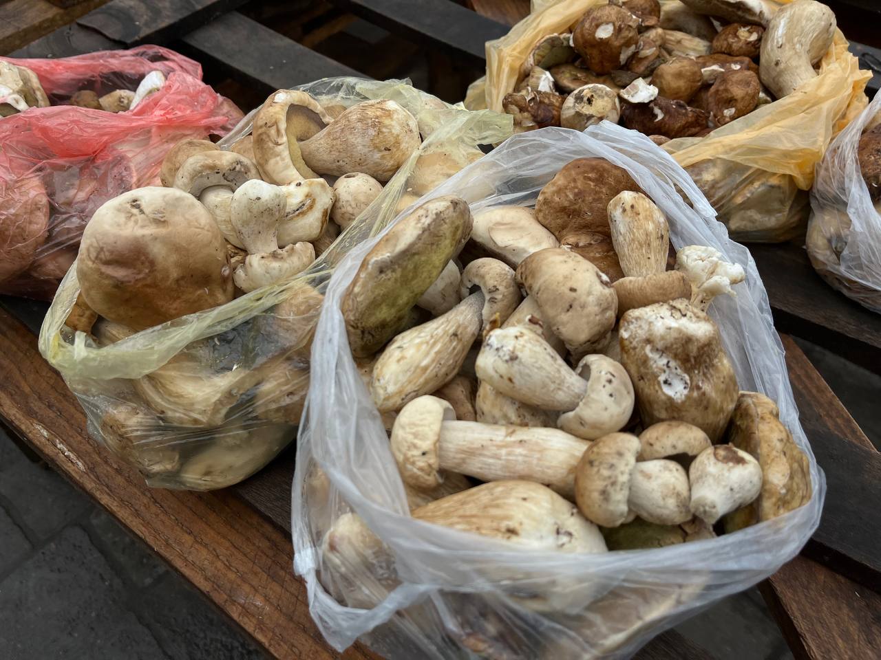 Новини Тернополя - фото з На стихійці в Тернополі продають лісові гриби. Розповідаємо, які є і скільки коштують