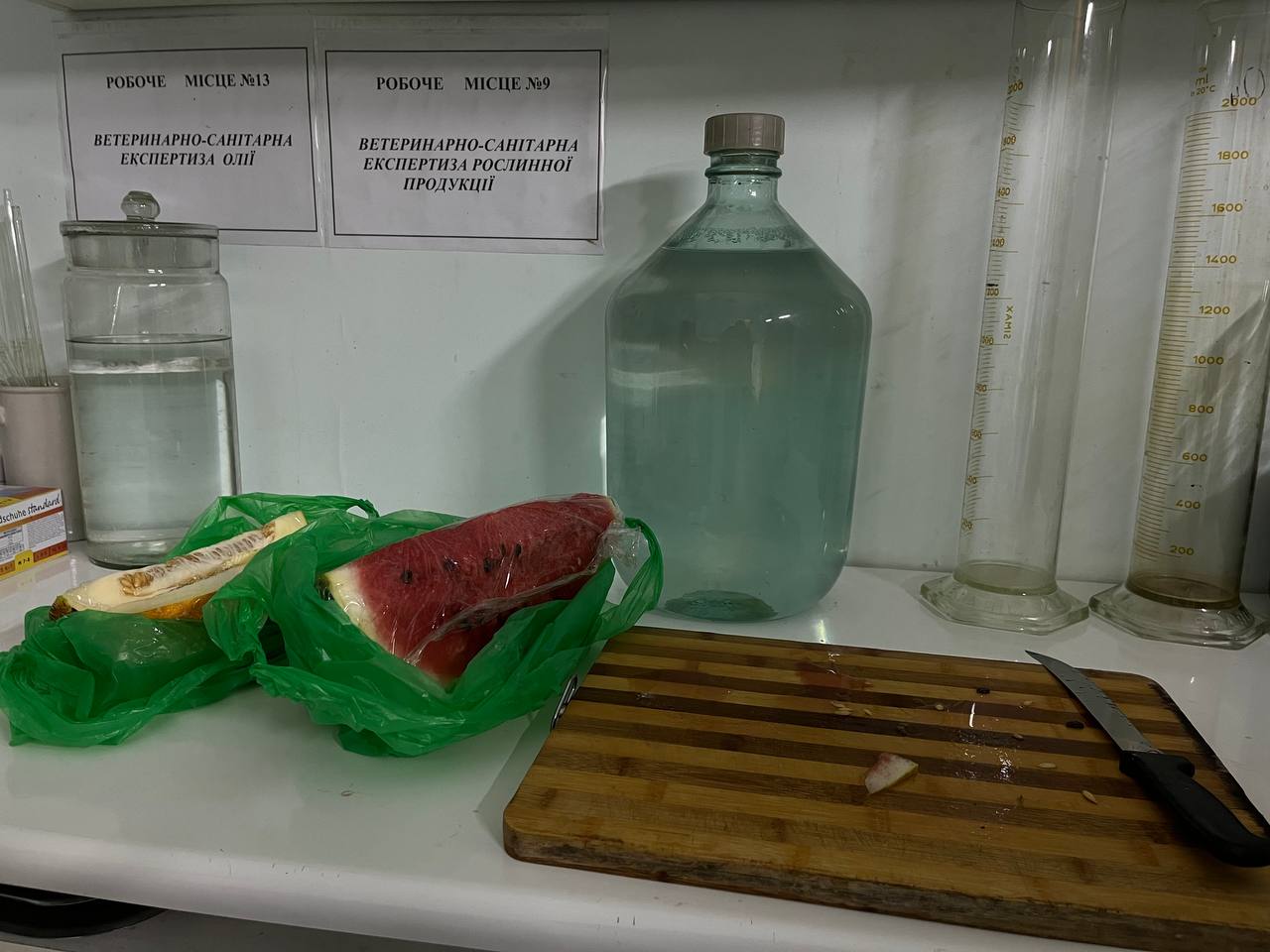 Новини Тернополя - фото з «20 хвилин» перевірили кавуни, дині на вміст нітратів: чи безпечно купувати на ринку Тернополя