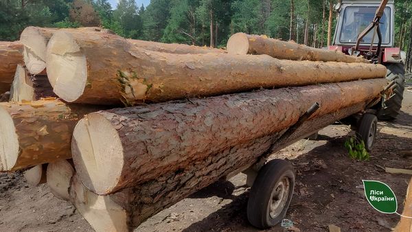 Новини Житомира - фото з Лісівники разом з поліцією припинили самовільну рубку дерев на Коростенщині і Олевщині