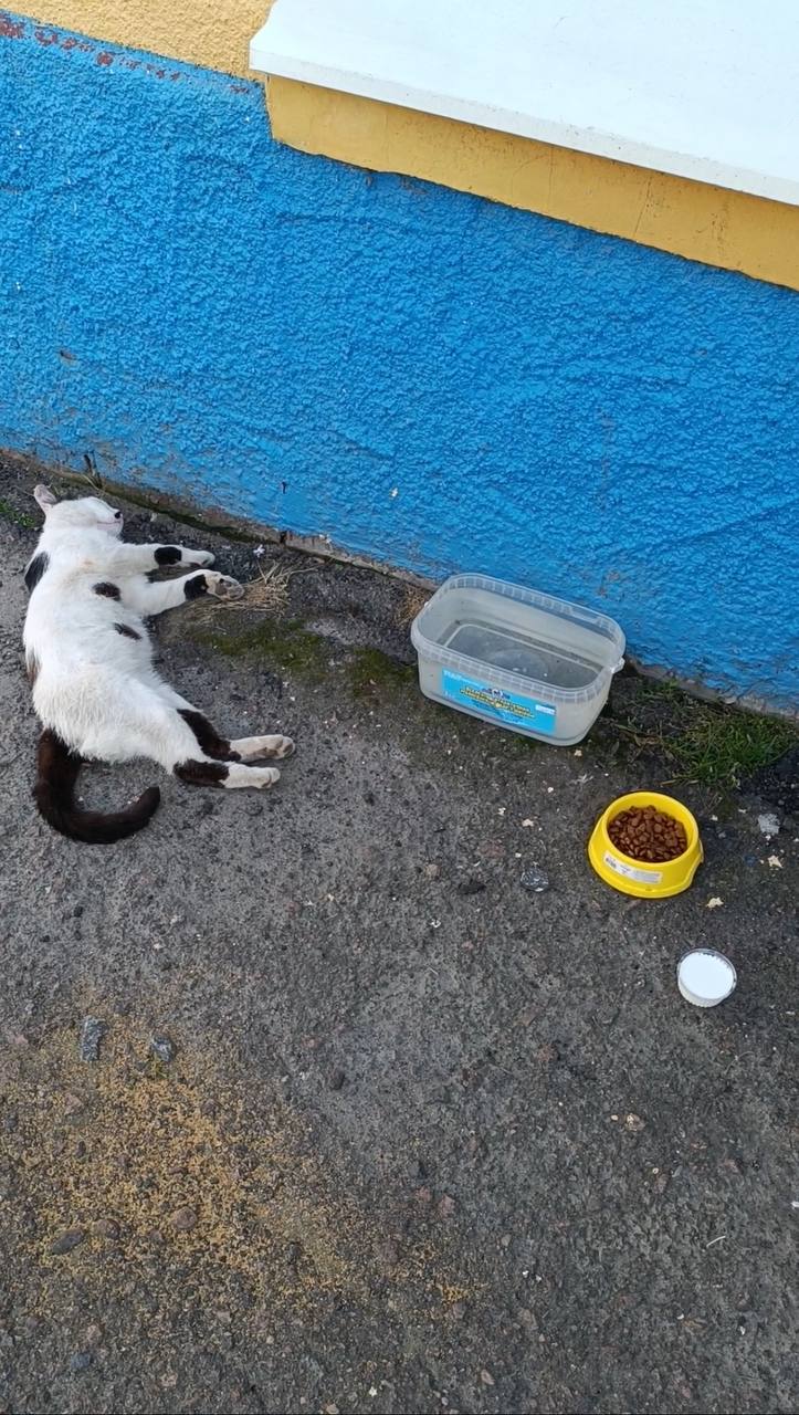 Новини Тернополя - фото з Провокує безліч хвороб: чому людям та тваринам не можна вживати продукти з пліснявою