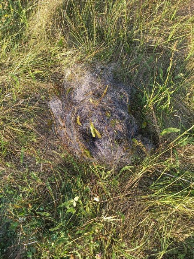 Новини Вінниці - фото з На Ладижинському водосховищі викрили браконьєрів: збитки — понад 50 тисяч гривень