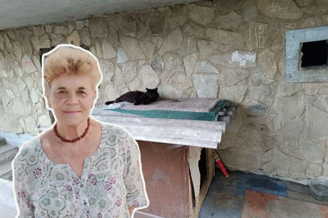 «Пнула кошеня — те чотири дні не приходило». Жорстоке поводження з тваринами на вулиці Олега Антонова