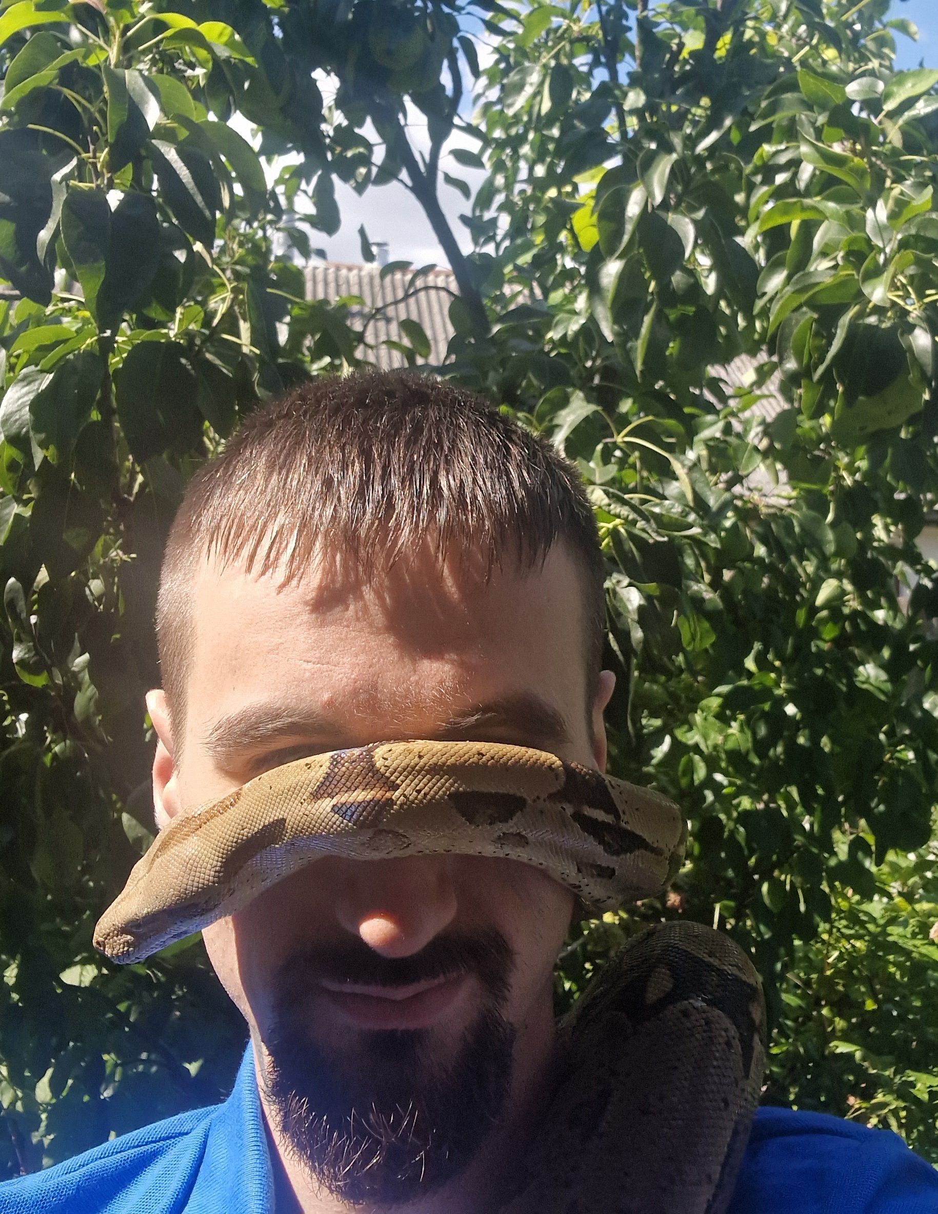 Новини Хмельницького - фото з Удав на пляжі Старокостянтинова: дізналися, звідки він взявся й де живе