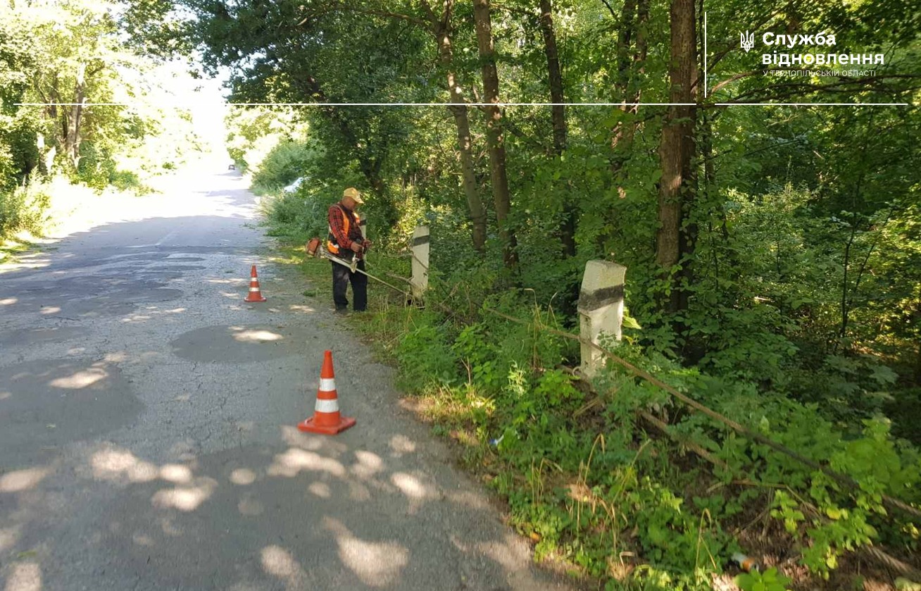 На зображенні може бути: 1 особа, дерево, дорога, трава та текст