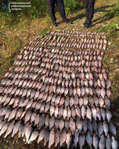 Новини Хмельницького - фото з Наловив риби на 600 тисяч гривень: на Хмельниччині спіймали браконьєра