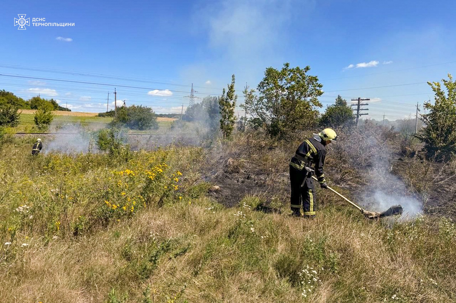 Новини Тернополя - фото з У Чорткові посеред дороги загорівся автомобіль На зображенні може бути: 1 особа та трава
