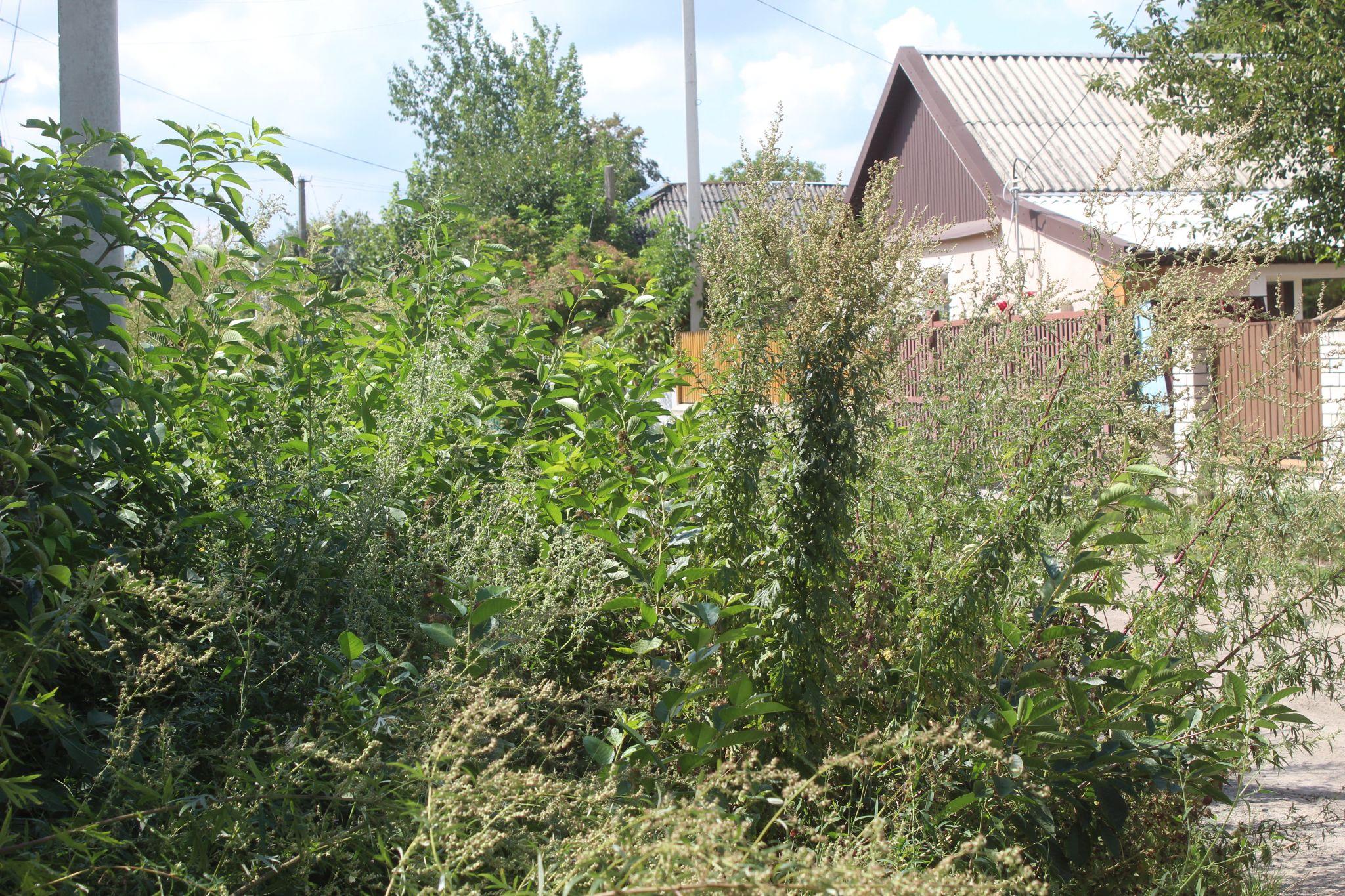 Новини Козятина - фото з Ремонт доріг, безпека руху і діти-волонтери