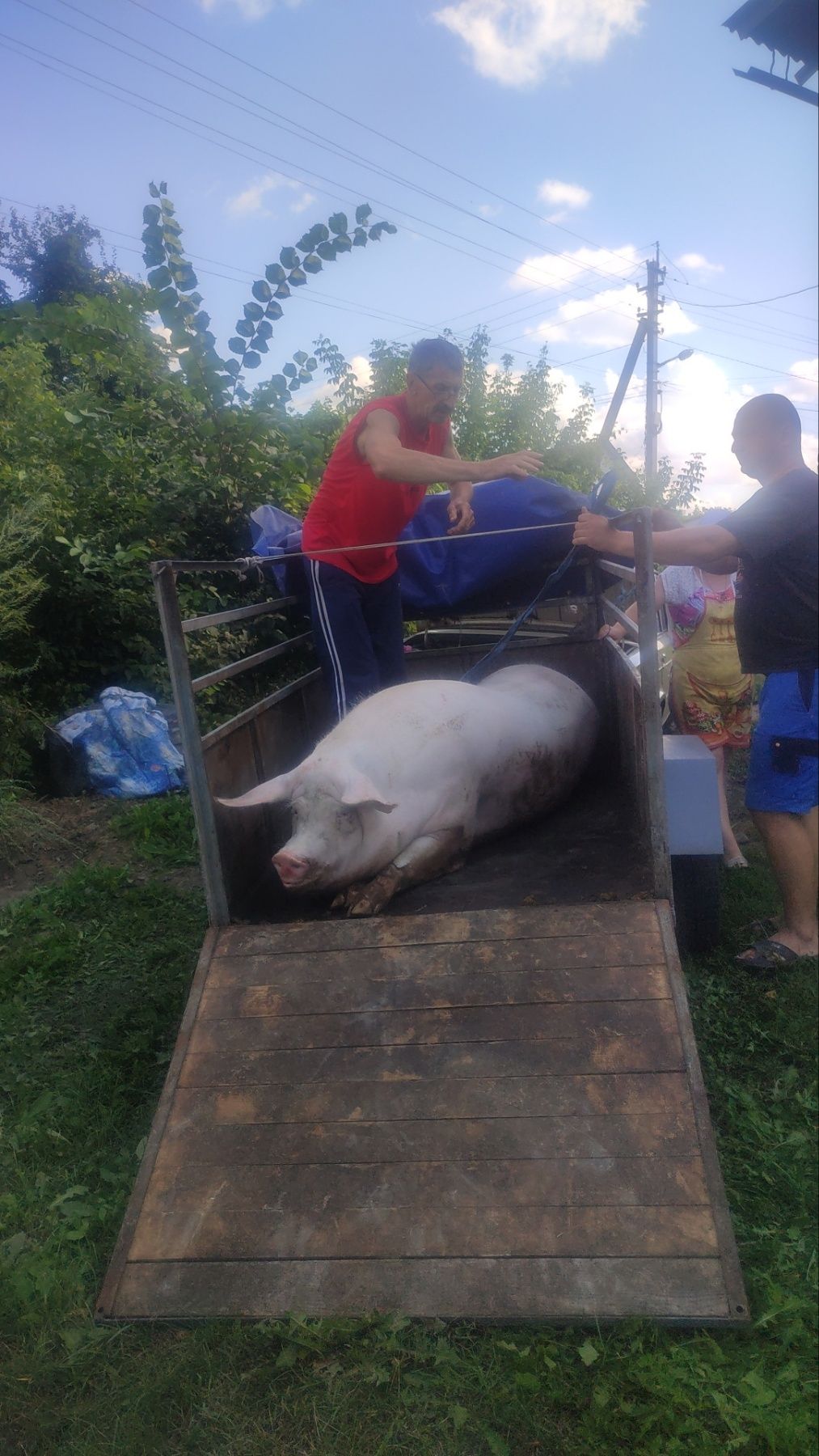 Новини Козятина - фото з Ремонт доріг, безпека руху і діти-волонтери