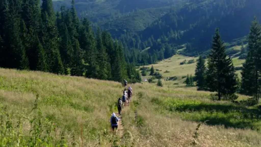 Новини Житомира - фото з Мобілізація до 25 років. Кого далі забирають до війська і як це можуть змінити Карпати