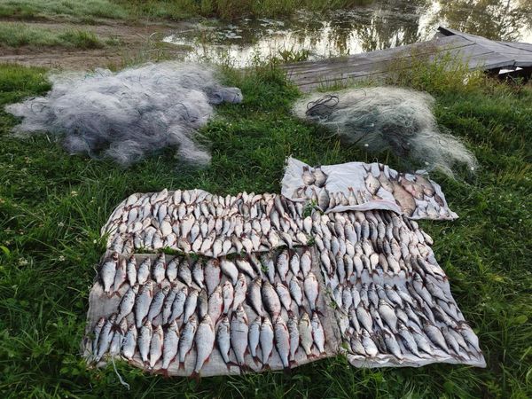 Новини Житомира - фото з Риболовля ціною 400 тисяч гривень: на Іршанському водосховищі піймали порушника