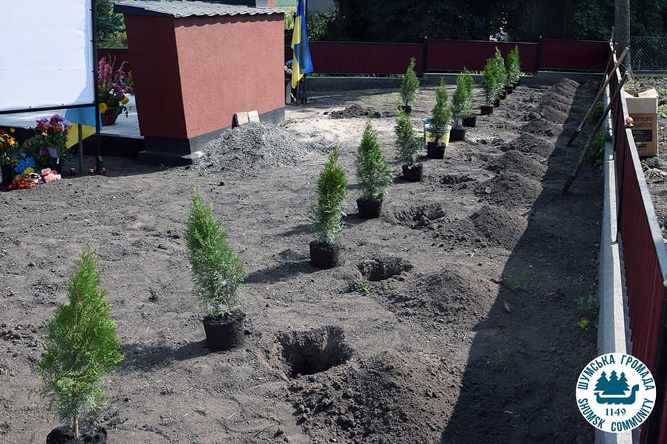 Новини Тернополя - фото з На Шумщині освятили Алею пам'яті на честь загиблих захисників На зображенні може бути: дерево