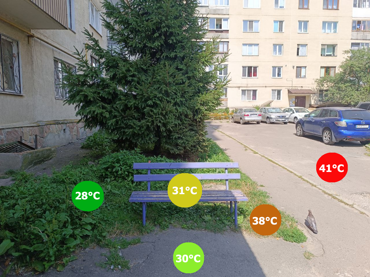 Новини Тернополя - фото з На бруківці — 39°C, а біля дерев — 28°C: як відрізняється температура на різних поверхнях у спеку