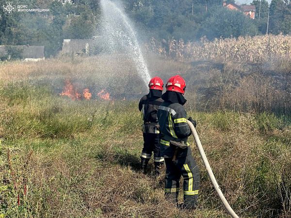 Новини Житомира - фото з Минулої доби на території області виникло 11 загорянь сухої рослинності, загальною площею понад 7 га