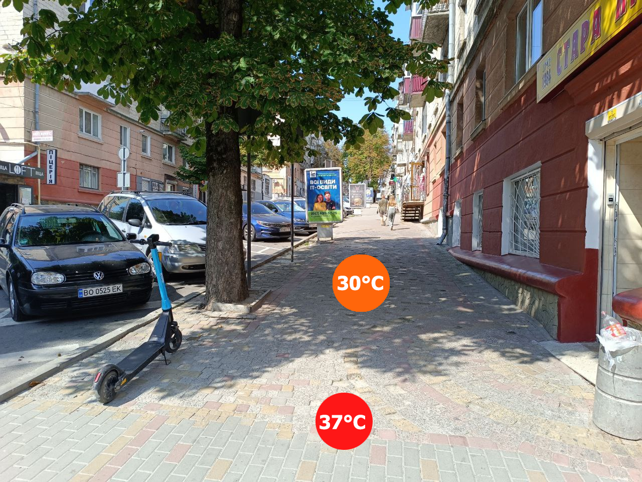 Новини Тернополя - фото з На бруківці — 39°C, а біля дерев — 28°C: як відрізняється температура на різних поверхнях у спеку