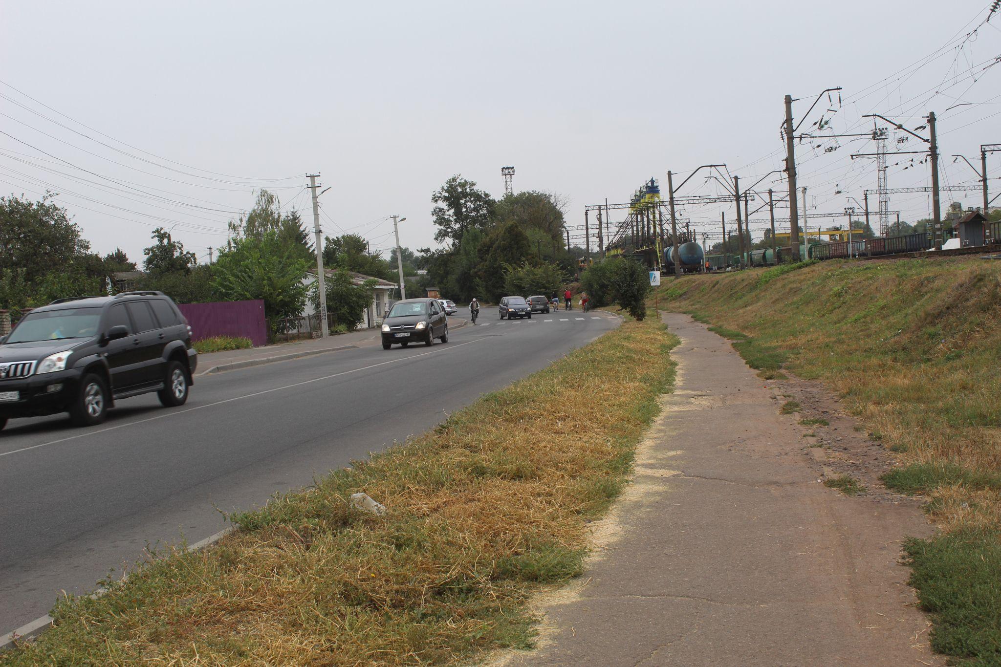 Новини Козятина - фото з Люди аллергики починають потерпати від пилку амброзії, яка вже літає в повітрі.