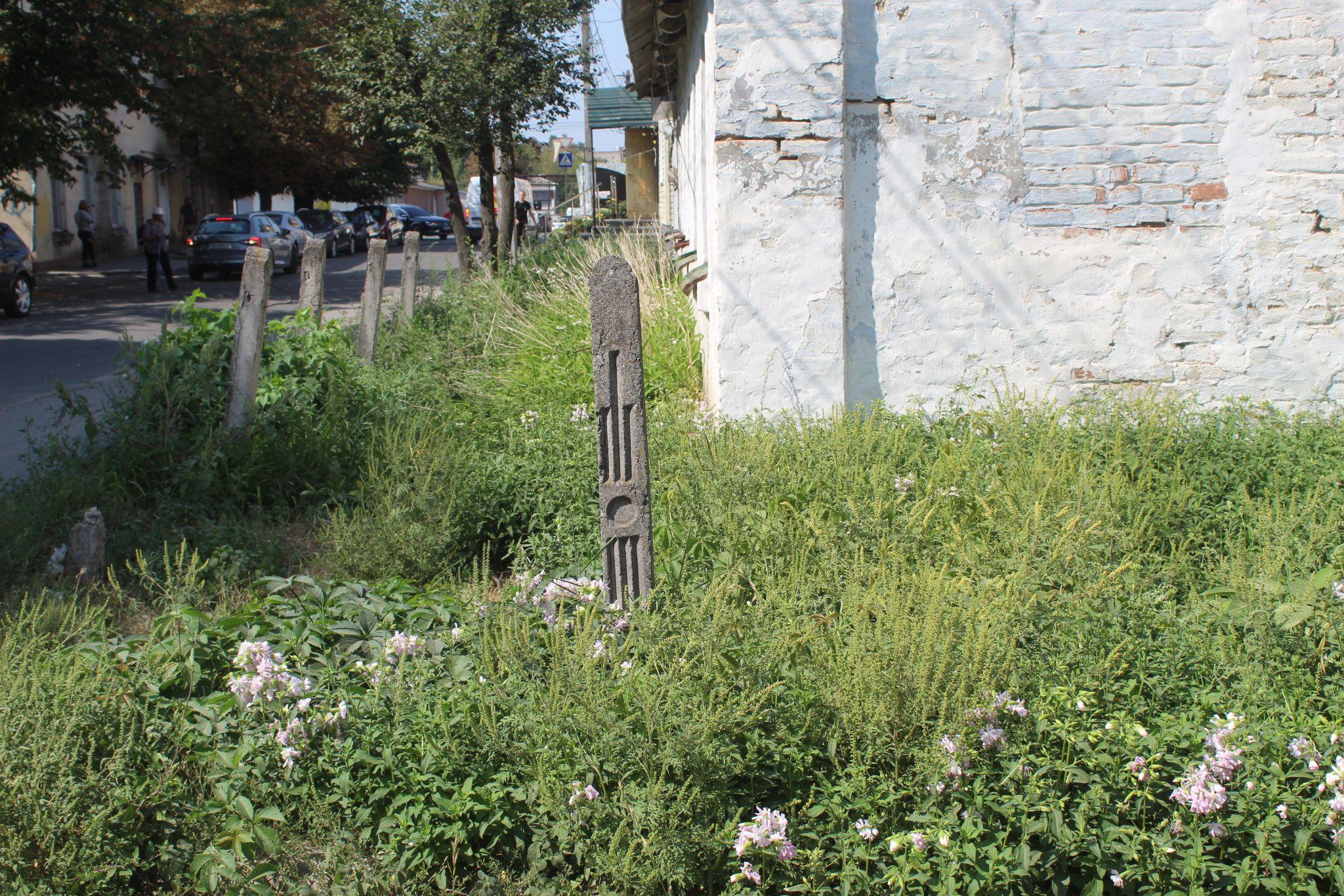 Новини Козятина - фото з Люди аллергики починають потерпати від пилку амброзії, яка вже літає в повітрі.